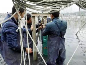 案例展示 (1)