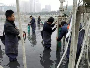 案例展示 (5)
